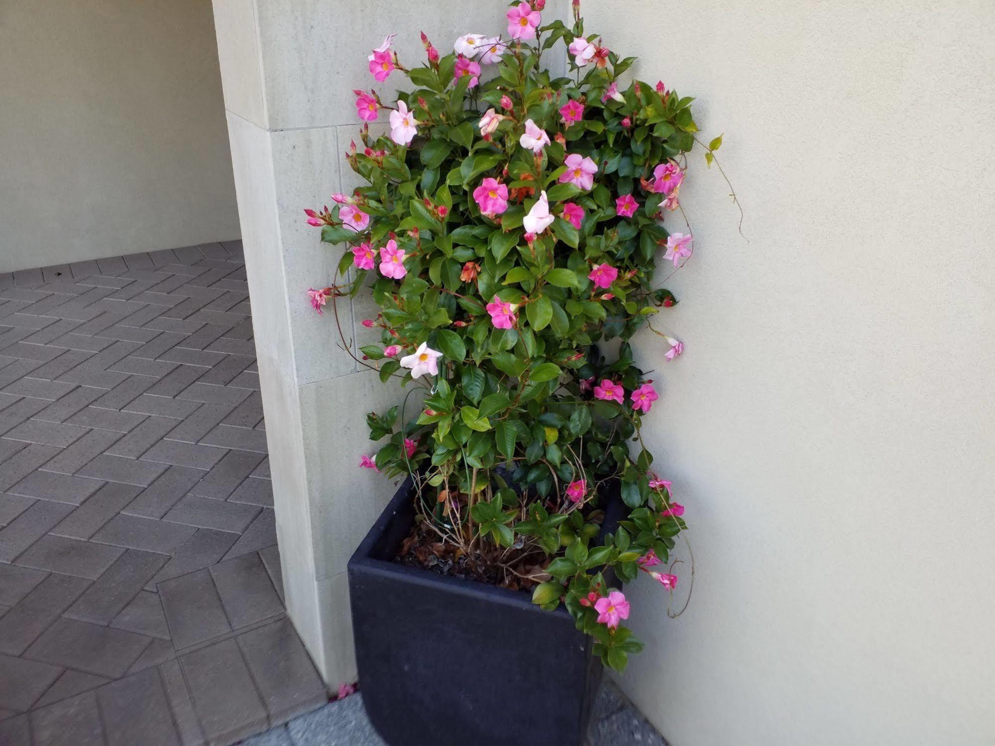 Sorrento Beach Bed & Breakfast Perth Exterior foto